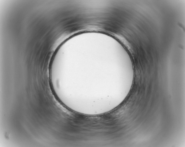 X0000098141335200805081011