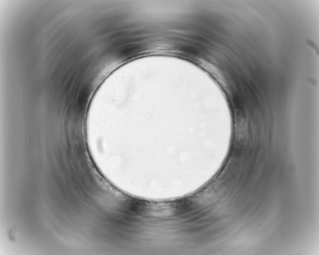 X0000098141338200805081011