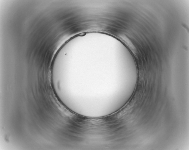 X0000098141340200805081011