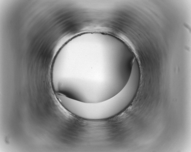 X0000098141344200805081011