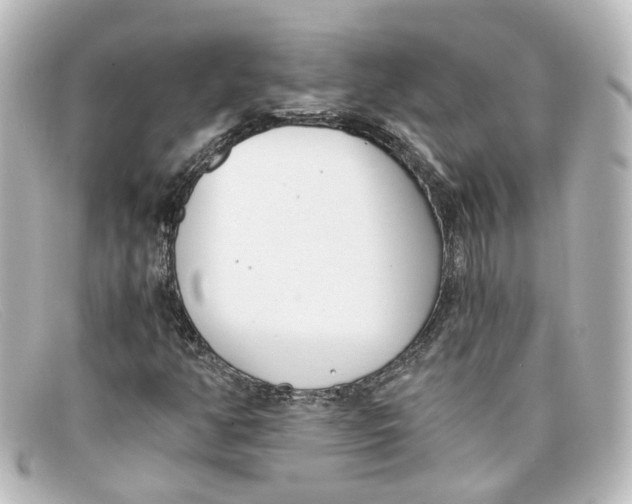 X0000098141350200805081011