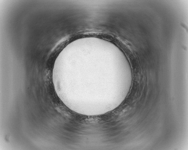 X0000098141351200805081011