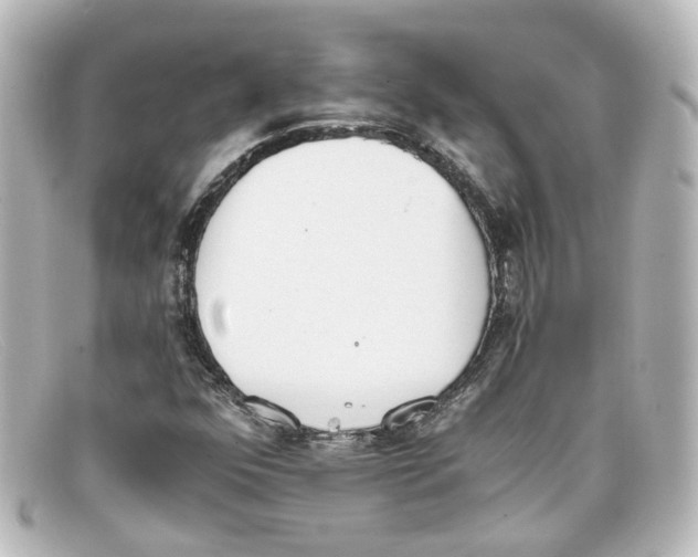 X0000098141352200805081011
