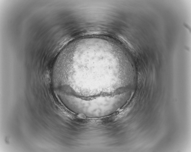 X0000098141353200805081011