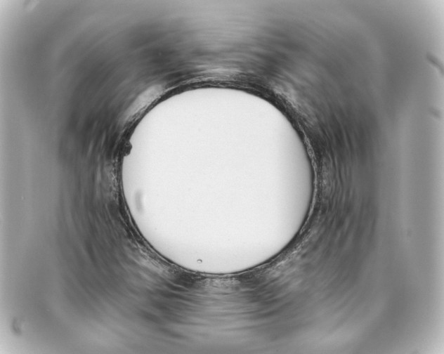 X0000098141354200805081011