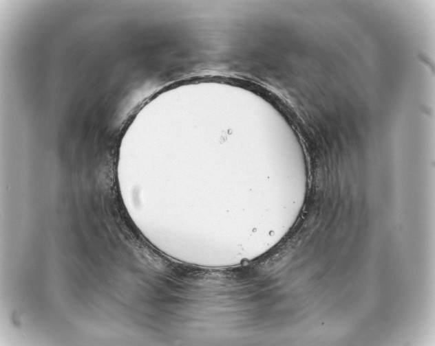 X0000098141359200805081011