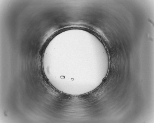 X0000098141360200805081011