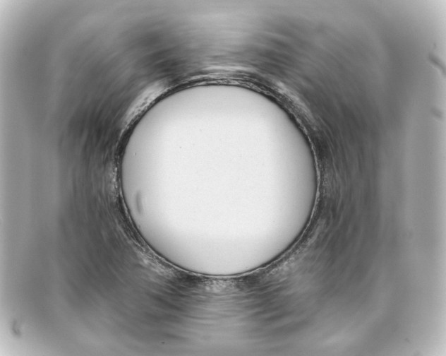 X0000098141362200805081011