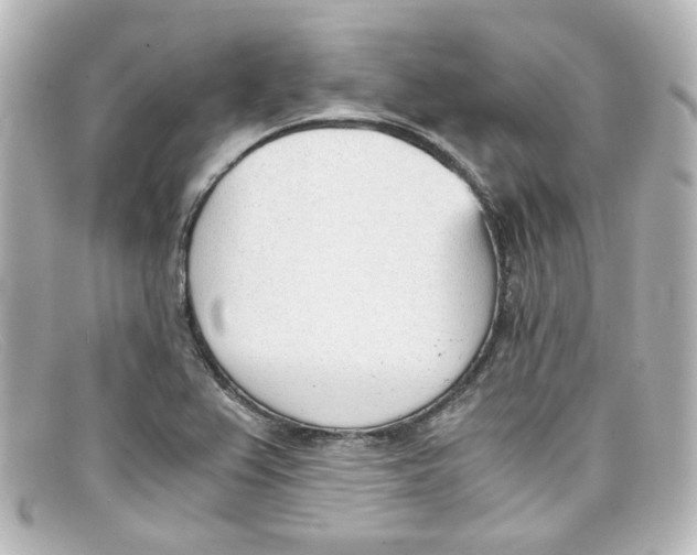 X0000098141367200805081011