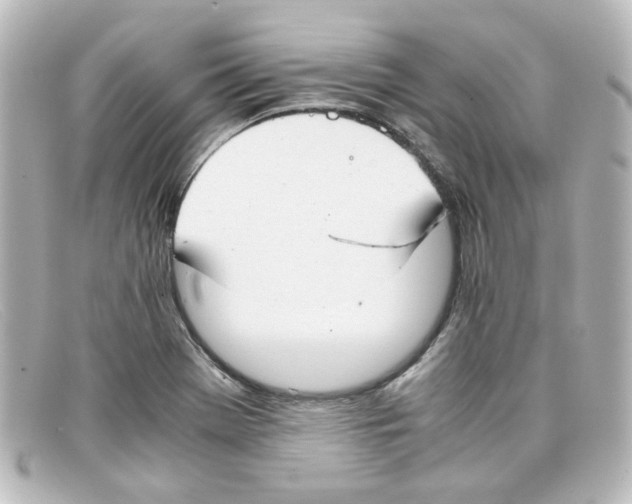 X0000098141369200805081010