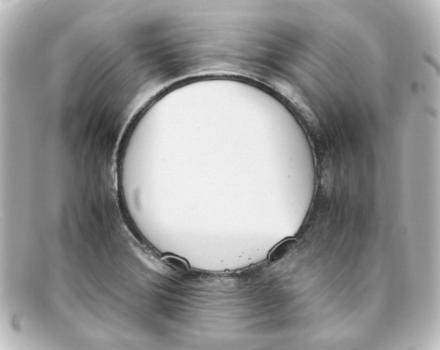 X0000098141372200805081010