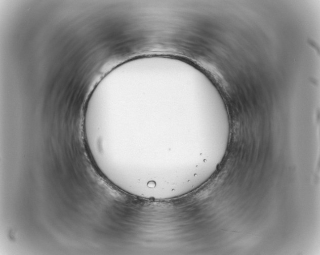 X0000098141374200805081010