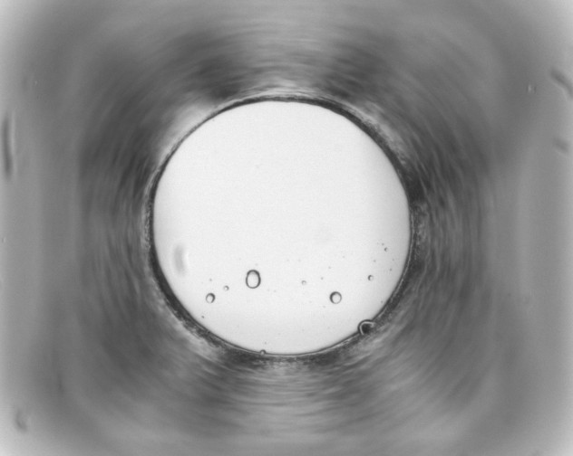 X0000098141375200805081010