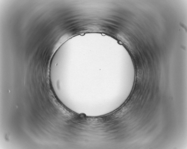X0000098141378200805081010