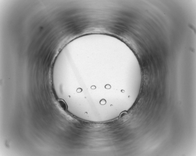 X0000098141382200805081010