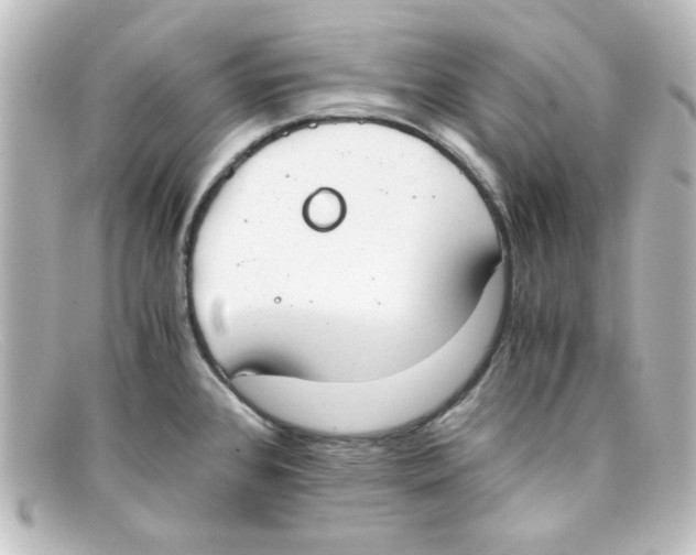 X0000098141384200805081010