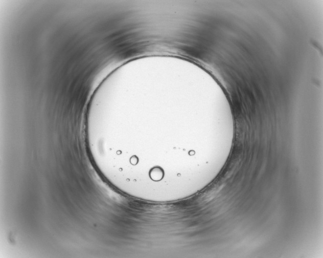 X0000098141387200805081010