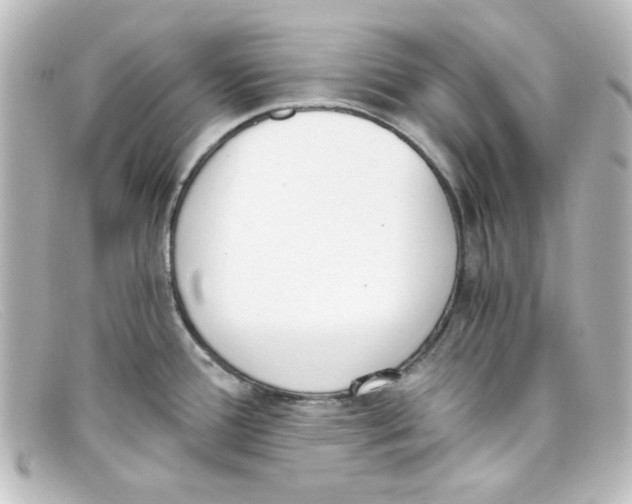 X0000098141388200805081010