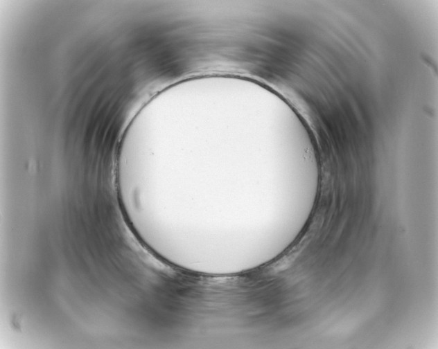 X0000098141390200805081010