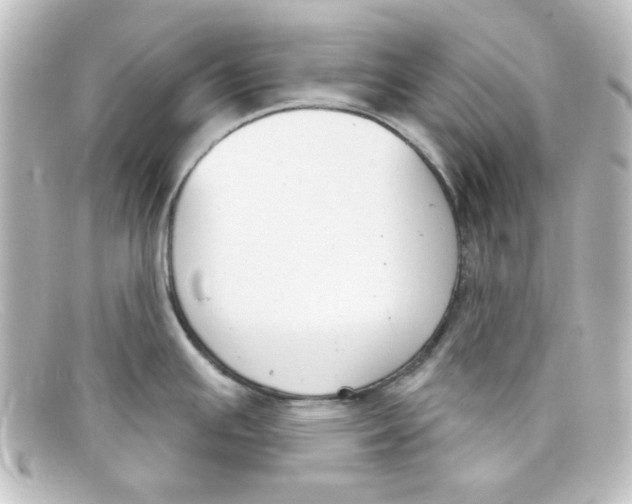X0000098141391200805081010