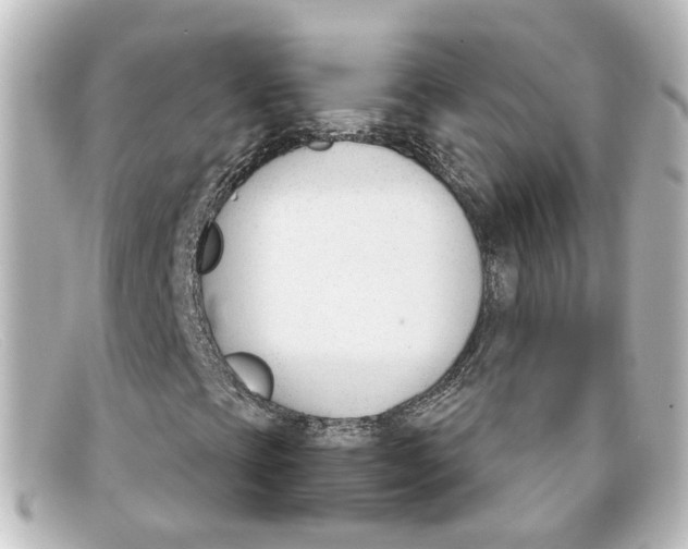 X0000098141393200805081010