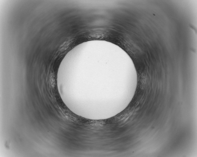 X0000098141394200805081010