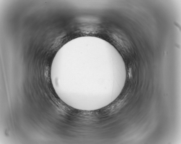 X0000098141396200805081010