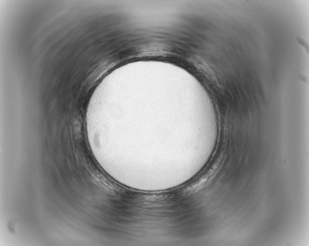 X0000098141401200805081010