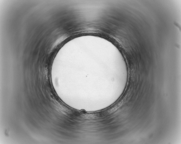 X0000098141402200805081010