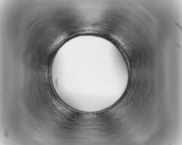 X0000098141403200805081010