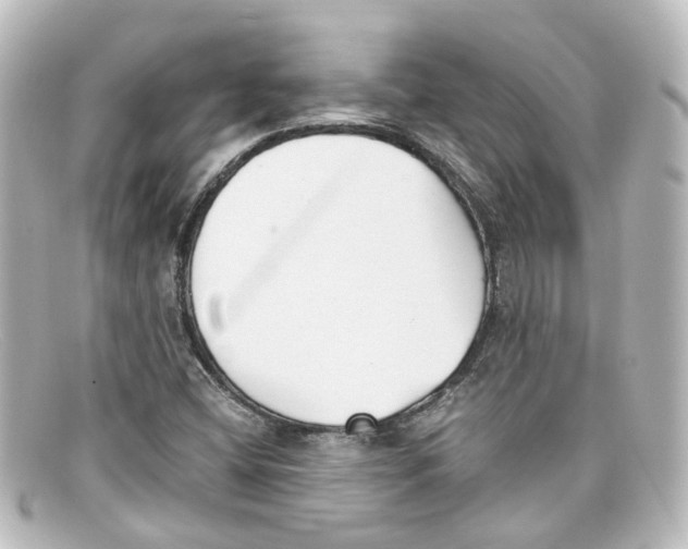 X0000098141404200805081010