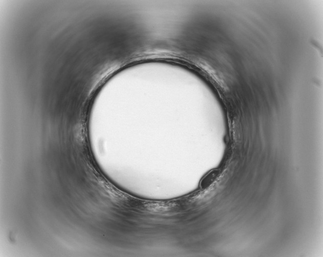 X0000098141405200805081010