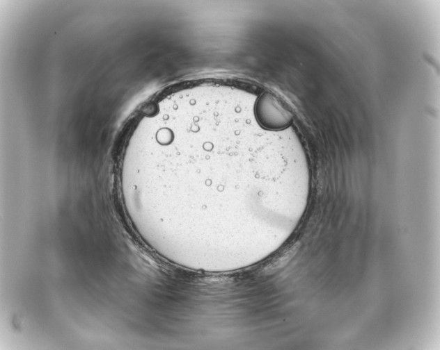X0000098141406200805081010