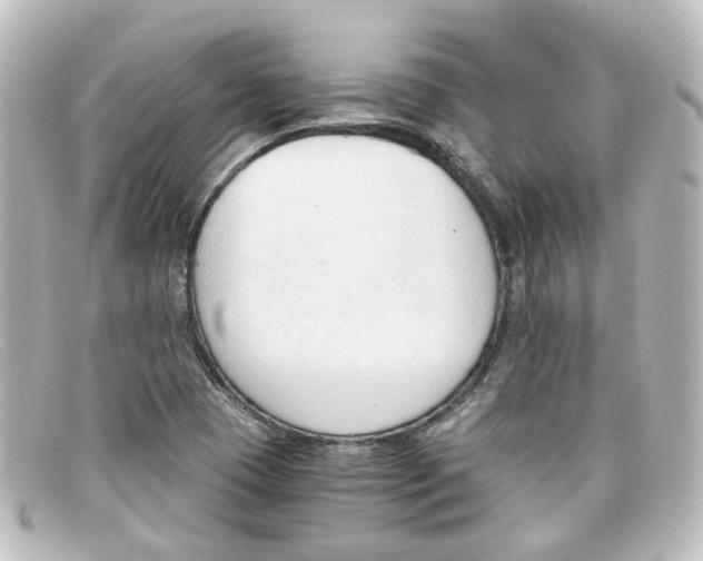 X0000098141409200805081010