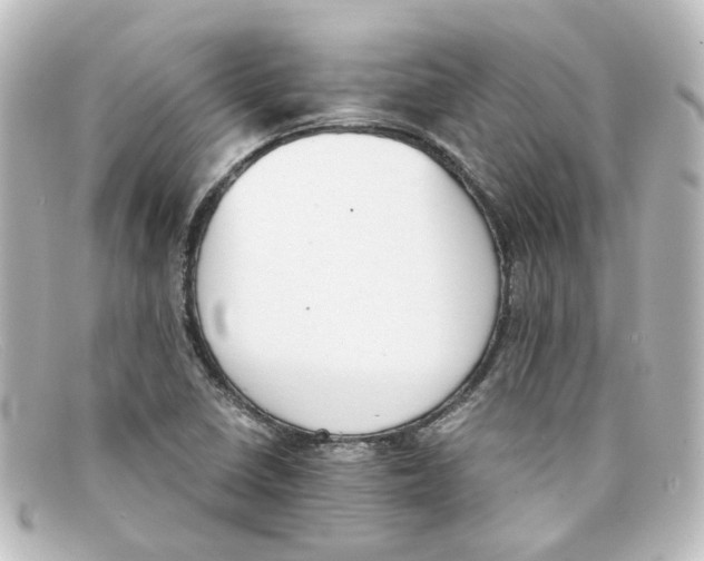 X0000098141410200805081010