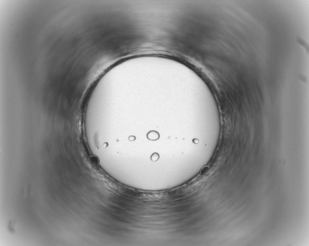 X0000098141415200805081010