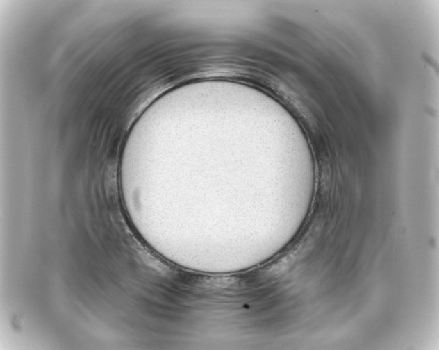 X0000098141417200805081010