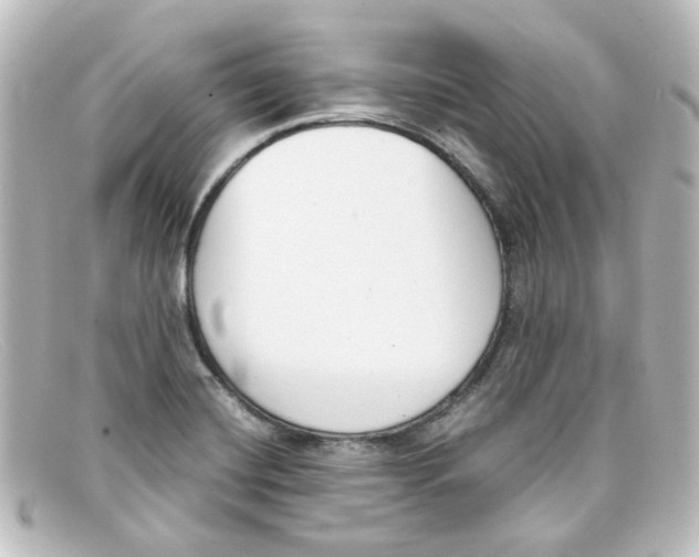 X0000098141420200805081010