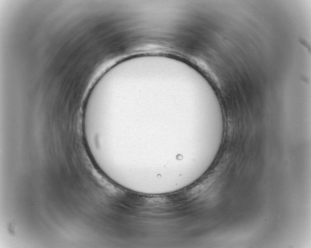 X0000098141421200805081010