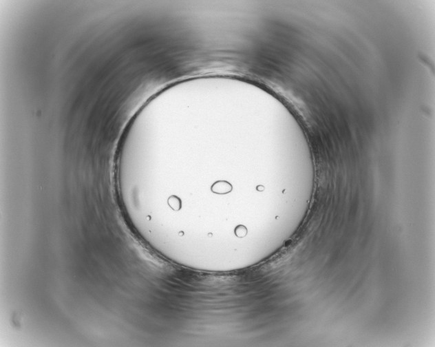 X0000098141423200805081010