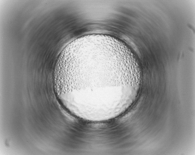 X0000098141425200805081010