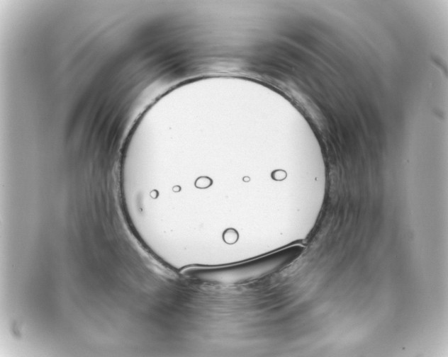 X0000098141432200805081010
