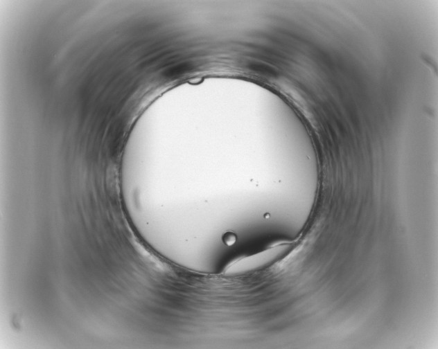 X0000098141433200805081010