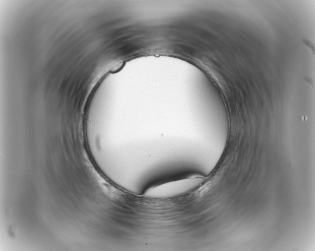 X0000098141434200805081010