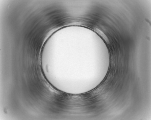 X0000098141436200805081010
