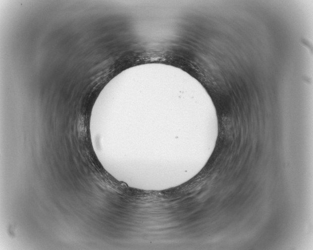 X0000098141442200805081009