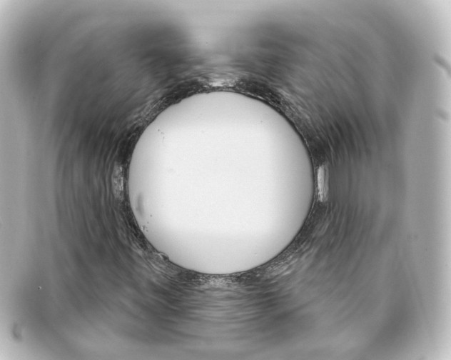 X0000098141443200805081009