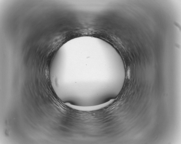 X0000098141444200805081009