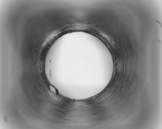 X0000098141448200805081009
