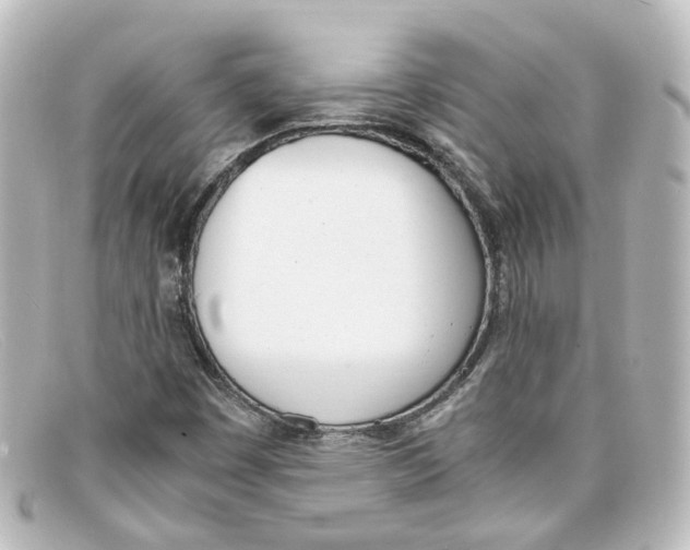 X0000098141449200805081009